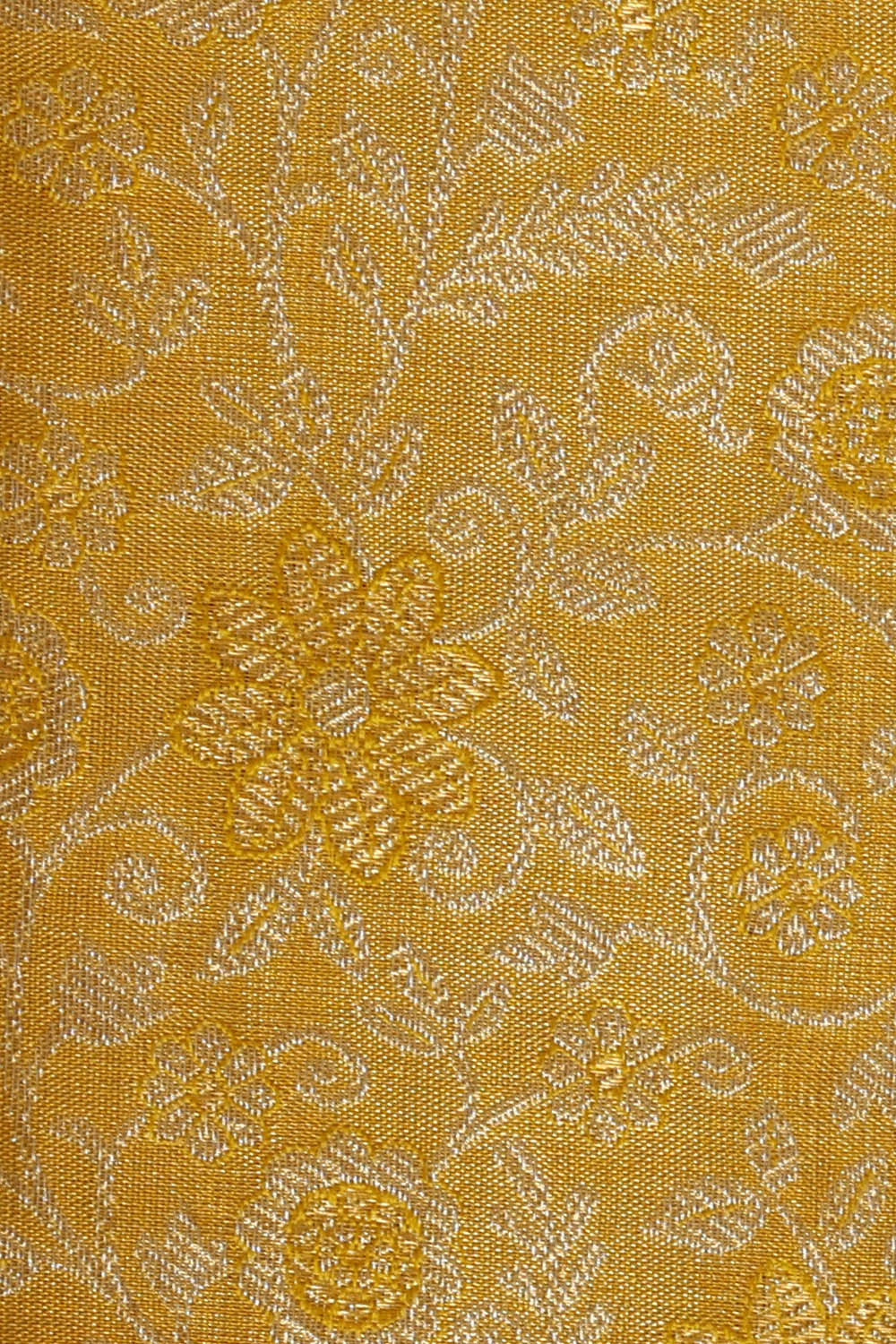 Image of Kanchipattu Gold Tissue Brocade Saree